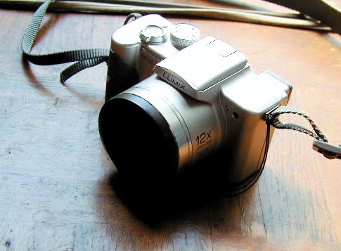 f0097503_15265516.jpg