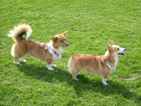e0007313_23403355.jpg