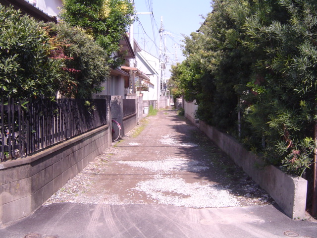 f0012924_4585222.jpg