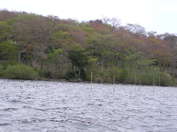 f0103126_2034415.jpg