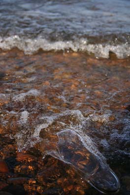 f0045630_2043249.jpg
