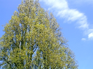 d0044038_23562395.jpg