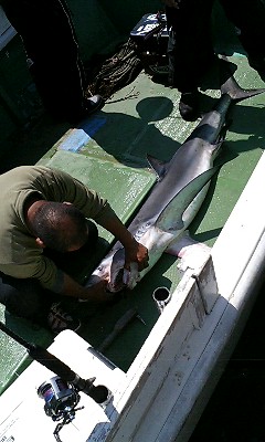 f0009238_2215168.jpg