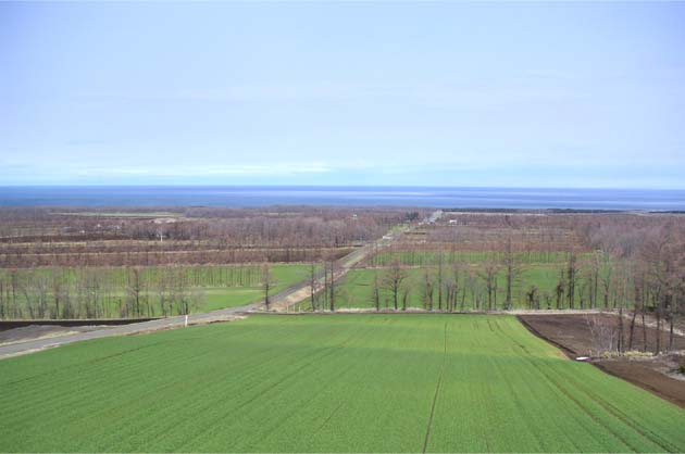 f0098841_22191884.jpg