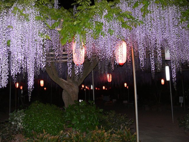 e0055642_22524241.jpg
