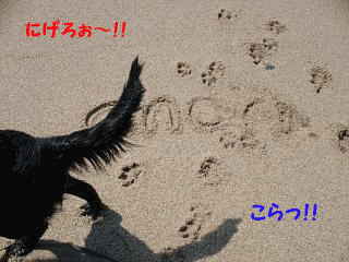 f0018144_11111276.gif