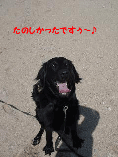 f0018144_11182735.gif