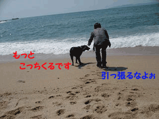 f0018144_113215.gif