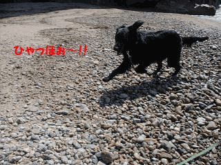 f0018144_1164514.gif