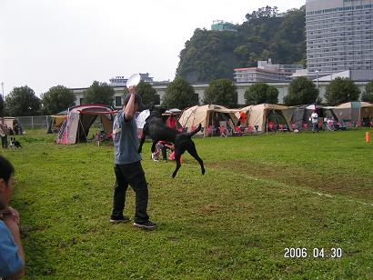 f0020153_8561065.jpg