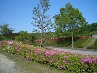b0088955_22272563.jpg