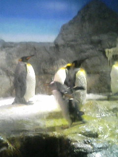 e0028058_2038464.jpg