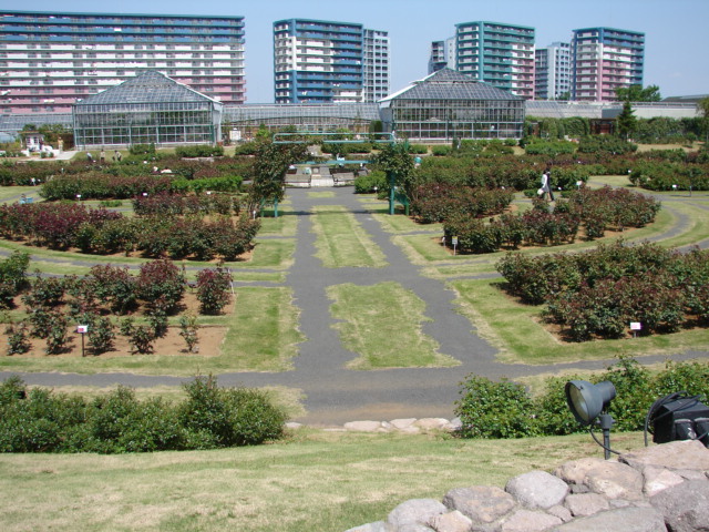 b0061261_22313589.jpg