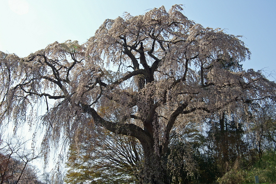 e0006964_22271636.jpg