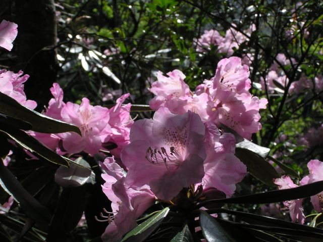 c0042869_21574999.jpg