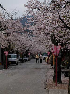 b0048571_1742146.jpg