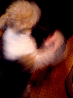 b0091373_2357740.jpg