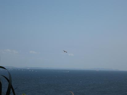 c0052779_21343895.jpg