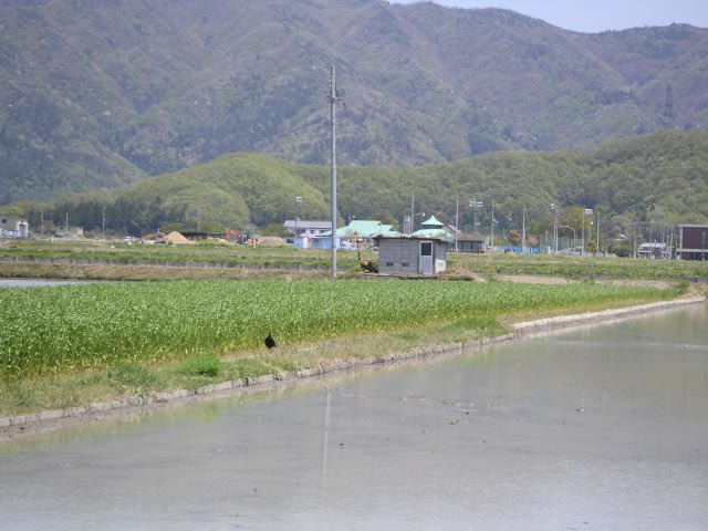 e0023183_2105353.jpg