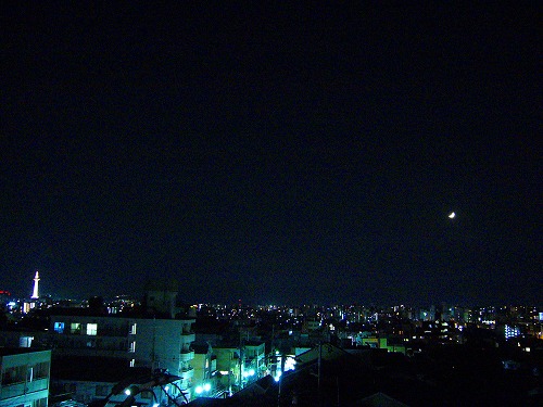 b0080789_37214.jpg