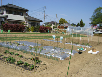 f0070493_0454792.jpg