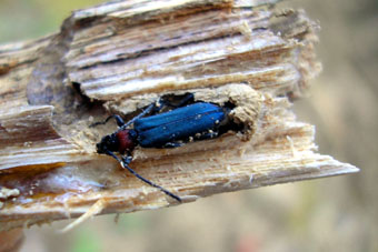 e0083097_0254519.jpg
