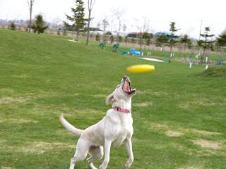 a0039299_213506.jpg