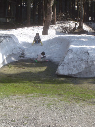 a0061599_15483299.jpg