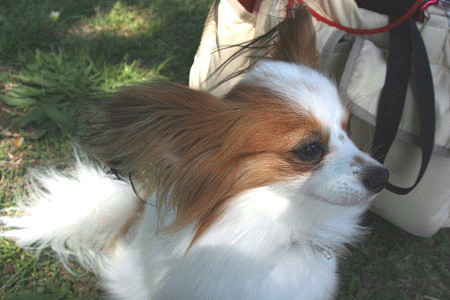 c0044199_2250031.jpg