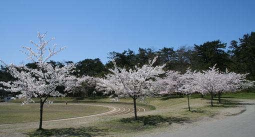 e0054299_21415297.jpg