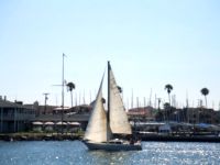 c0062603_15502373.jpg