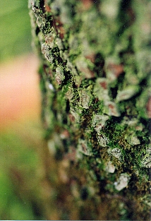 c0039205_22265310.jpg