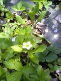 d0032405_15172861.jpg