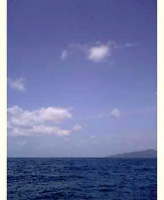 f0048405_207593.jpg