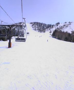 c0014906_13321998.jpg