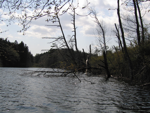 e0041606_23324280.jpg