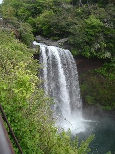 e0006910_815481.jpg