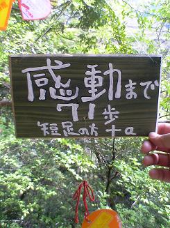 b0071413_1728851.jpg