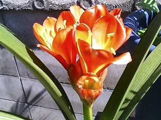 e0026017_18105890.jpg