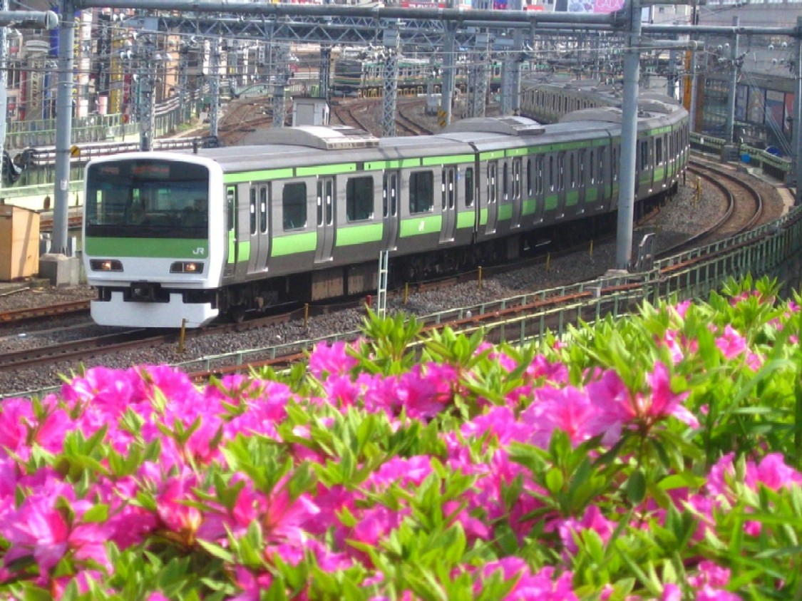 d0044222_2358297.jpg