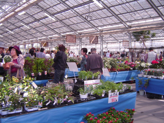 f0012924_5344410.jpg