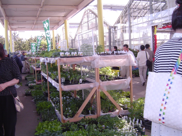 f0012924_5453274.jpg