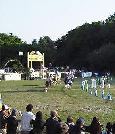 f0022024_23442652.jpg