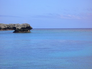 d0066133_23464593.jpg
