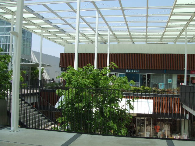 c0071545_17143172.jpg