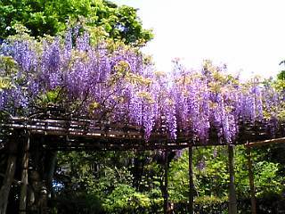 b0032346_13455420.jpg