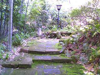 b0032346_1493515.jpg