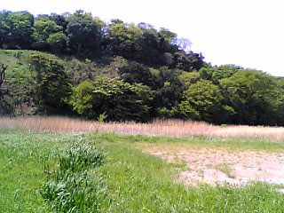b0032346_1645249.jpg