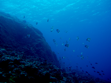 d0065247_23175095.jpg