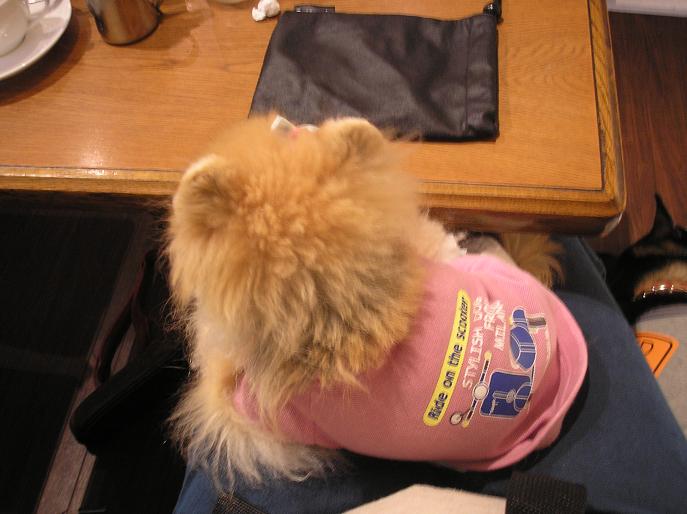 c0062954_15401334.jpg